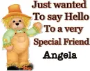 A Beary Hello