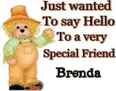 A Beary Hello Brenda