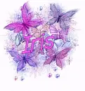 Purple and Pink Butterflies - Iris