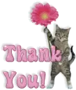 thank you kitty