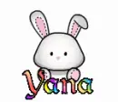 yana rabbit