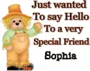 A Beary Hello Sophia