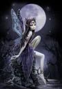 Fairy