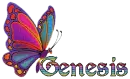 genesis butterfly