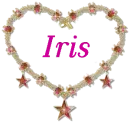 Diamond Heart Sparkle - Iris