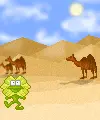 desert