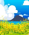 Korea- Jeju island 