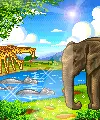 Africa-safari