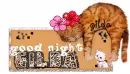 Good Night Gilda