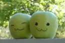 Apples