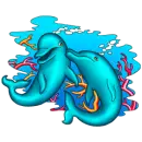 DOLPHINS