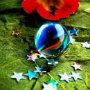 stars