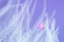 pink star