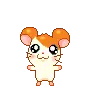 Hamtaro