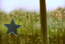 alone star