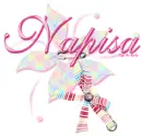 Napisa