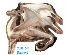 Day Dreamer Dragon