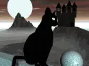 Black cat