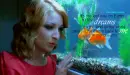 Kate Miller-Heidke, The Last Day On Earth