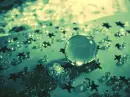 lil stars