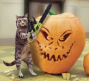 Cat with chainsaw