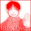 hello shrimp