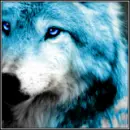 Blue Wolf
