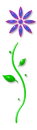 Flower1