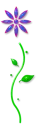 Flower2