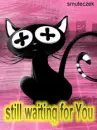 still waiting for you 