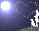 stars heart
