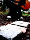 stars steps