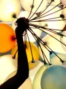 ballons 