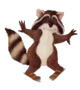 Racoon Has to Potty