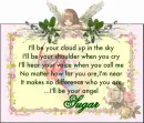 I'll be your angel-Sugar