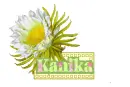 Kanika