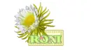 Roni