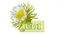 Judi