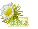CARLA