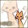 small kitty