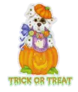 Trick or treat
