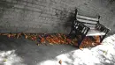 autumn bench