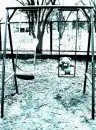 bear swing