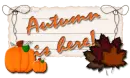 Autumn is here!