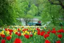 love landscape