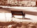 winter bench