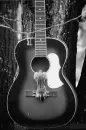 animal guitar