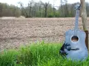 blue guitar