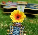 flower guitar