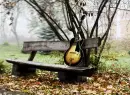 guitar on the bench